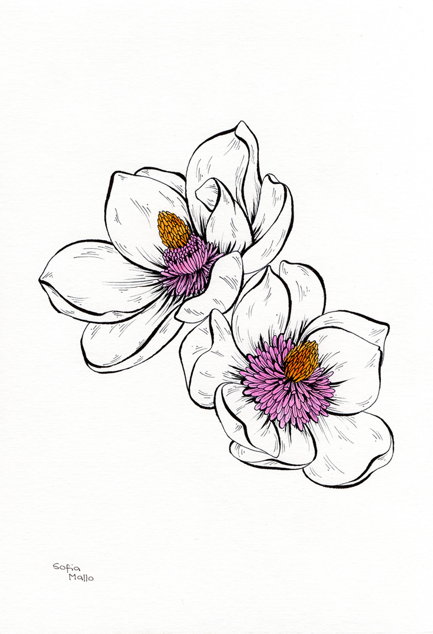 Magnolia, Ink on paper, done for Inktober in 2018.